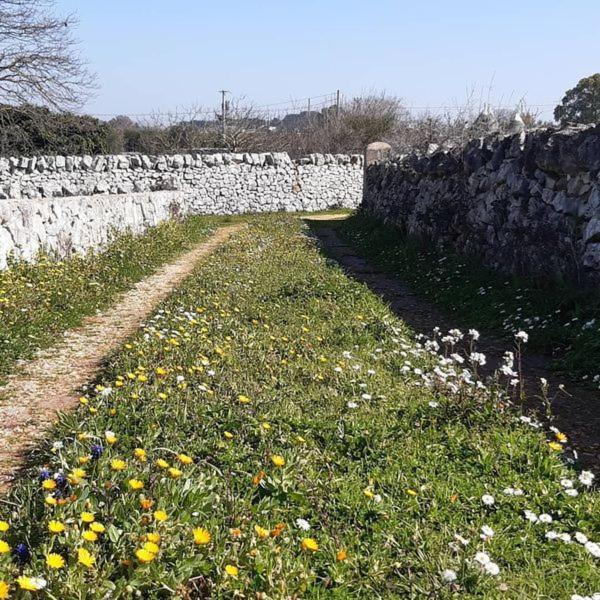 B&B Trulli Sotto La Cupa Мартина Франка Екстериор снимка
