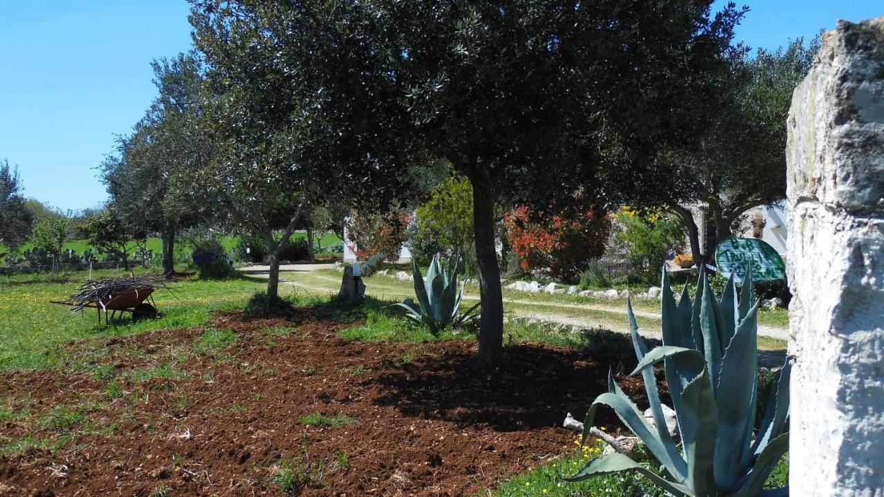B&B Trulli Sotto La Cupa Мартина Франка Екстериор снимка