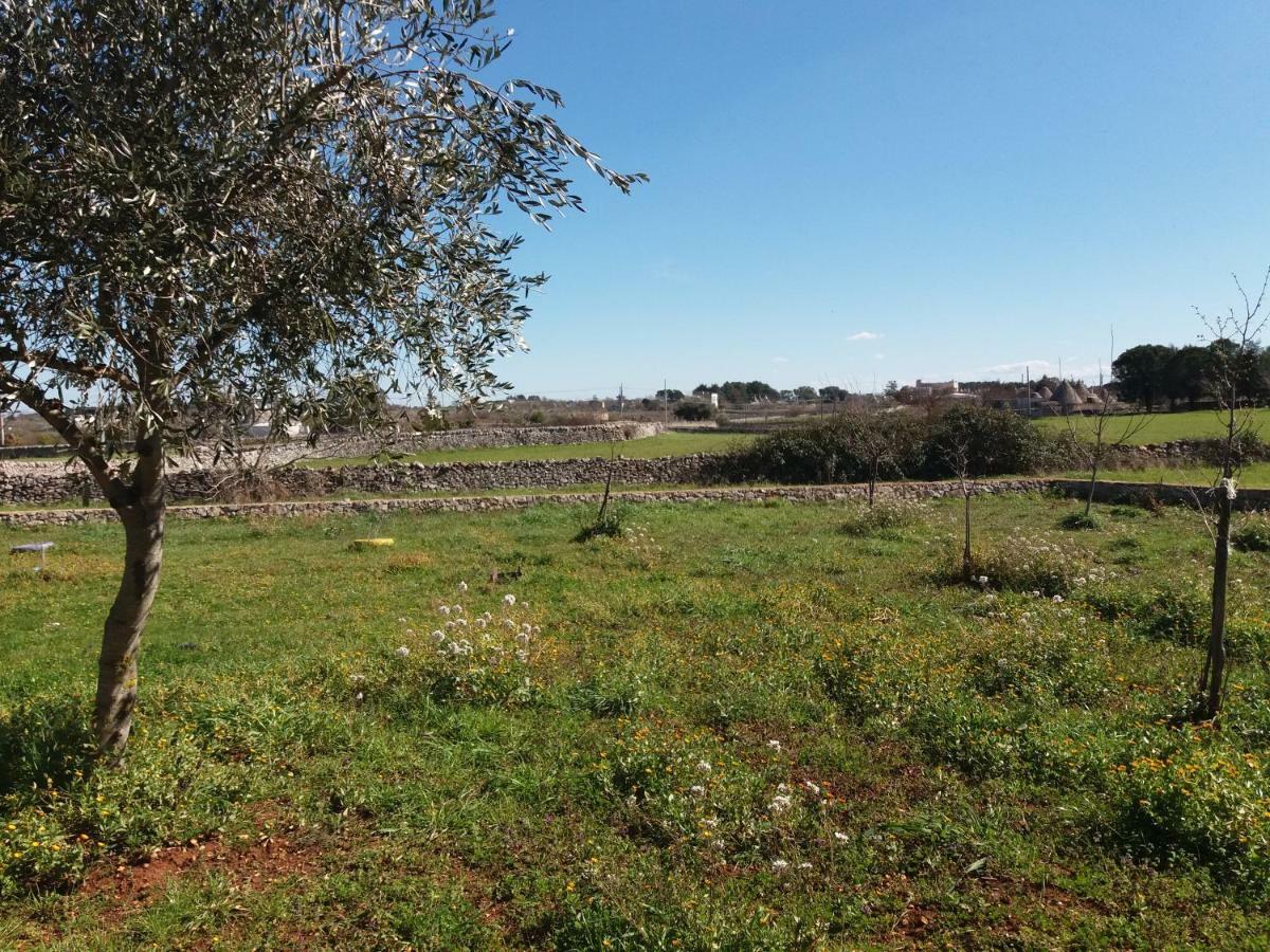B&B Trulli Sotto La Cupa Мартина Франка Екстериор снимка